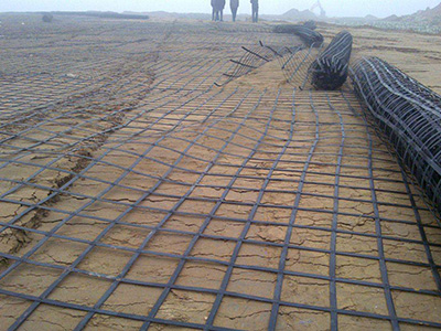 钢塑土工格栅图片3