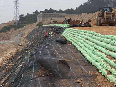 单向塑料土工格栅图片4